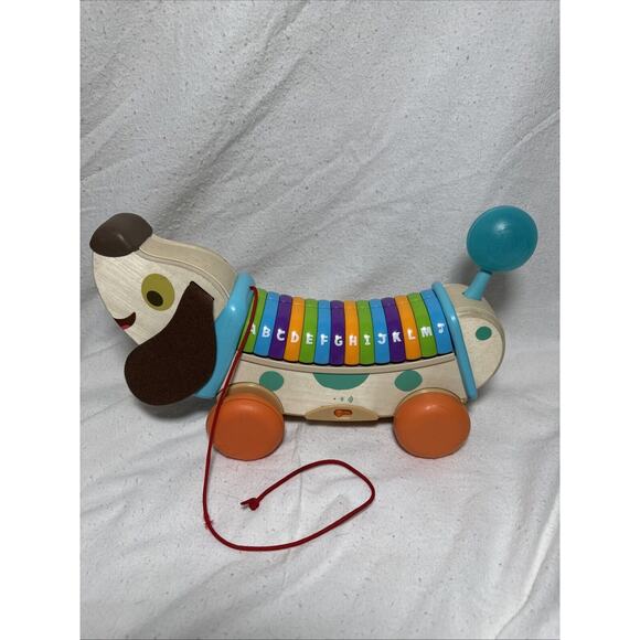 LeapFrog Alphapup Multicolor PullAlong Singing Talking Educational Toy WORKS EUC - Picture 1 of 8